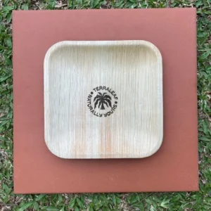 Terra Leaf - 7 inch, Areca Palm Leaf Square Plates (Pack of 25 Pcs)