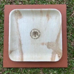 Terra Leaf - 9 inch, Areca Palm Leaf Square Plates (Pack of 25 Pcs)